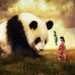giant panda endangered species